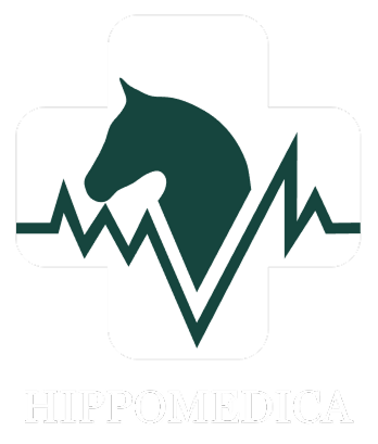 Hippomedica